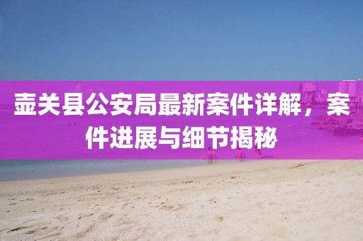 壺關(guān)縣公安局最新案件詳解，案件進(jìn)展與細(xì)節(jié)揭秘