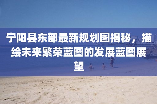 寧陽縣東部最新規(guī)劃圖揭秘，描繪未來繁榮藍(lán)圖的發(fā)展藍(lán)圖展望
