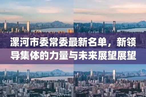 漯河市委常委最新名單，新領(lǐng)導(dǎo)集體的力量與未來(lái)展望展望