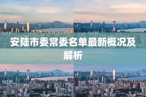 安陸市委常委名單最新概況及解析