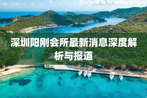 深圳陽剛會所最新消息深度解析與報道