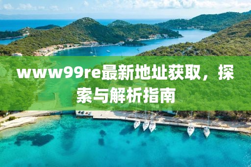 www99re最新地址獲取，探索與解析指南