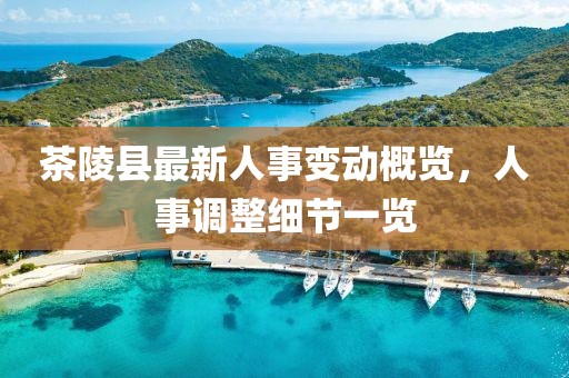 茶陵縣最新人事變動(dòng)概覽，人事調(diào)整細(xì)節(jié)一覽