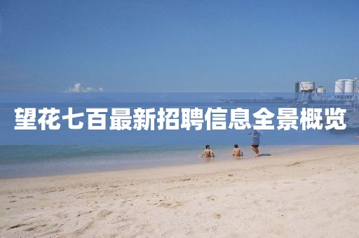 望花七百最新招聘信息全景概覽