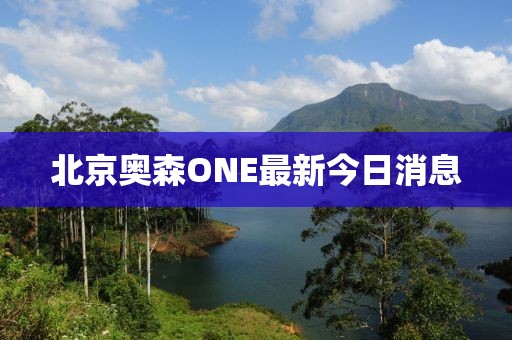 北京奧森ONE最新今日消息