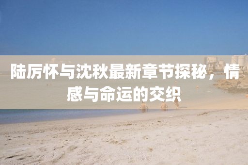 陸厲懷與沈秋最新章節(jié)探秘，情感與命運(yùn)的交織