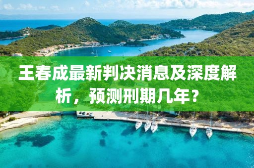 王春成最新判決消息及深度解析，預(yù)測刑期幾年？
