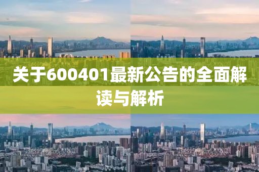 關(guān)于600401最新公告的全面解讀與解析