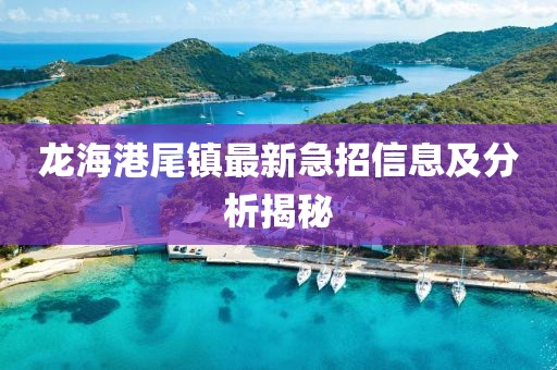 龍海港尾鎮(zhèn)最新急招信息及分析揭秘