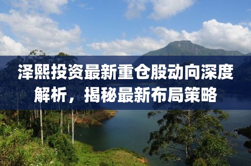 澤熙投資最新重倉(cāng)股動(dòng)向深度解析，揭秘最新布局策略