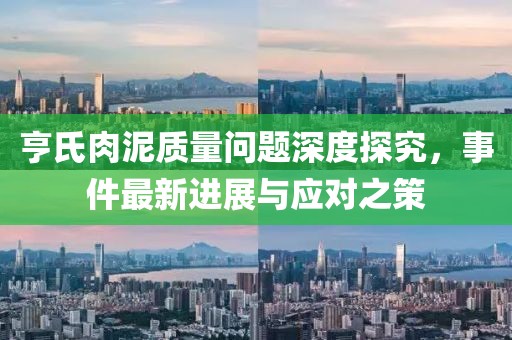 亨氏肉泥質(zhì)量問題深度探究，事件最新進(jìn)展與應(yīng)對(duì)之策