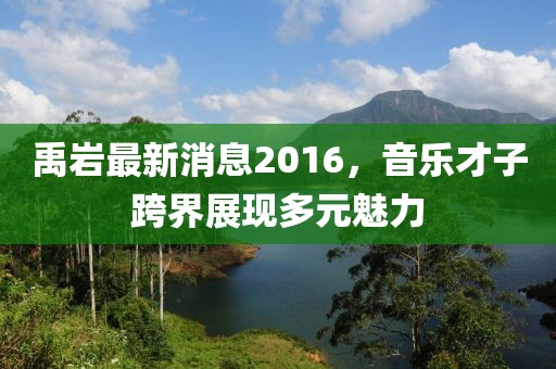 禹巖最新消息2016，音樂才子跨界展現(xiàn)多元魅力