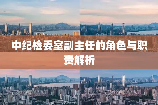 中紀檢委室副主任的角色與職責解析