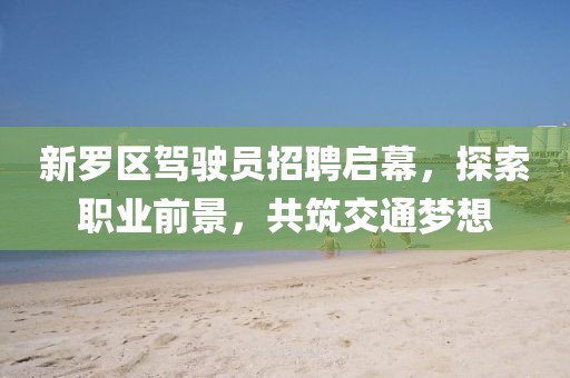 新羅區(qū)駕駛員招聘啟幕，探索職業(yè)前景，共筑交通夢想