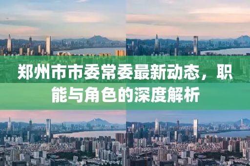 鄭州市市委常委最新動態(tài)，職能與角色的深度解析