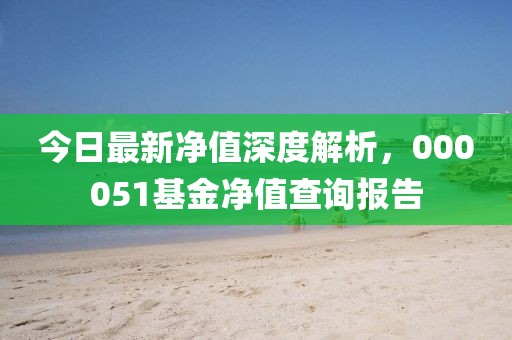 今日最新凈值深度解析，000051基金凈值查詢報(bào)告
