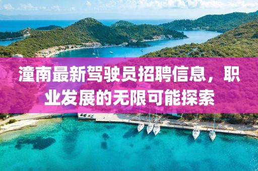 潼南最新駕駛員招聘信息，職業(yè)發(fā)展的無(wú)限可能探索