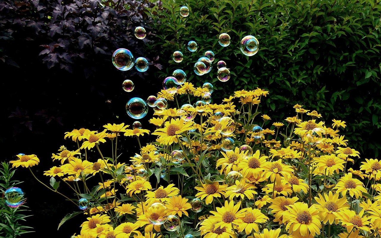 祥臨鐵路最新動態(tài)解析，全面解讀最新消息