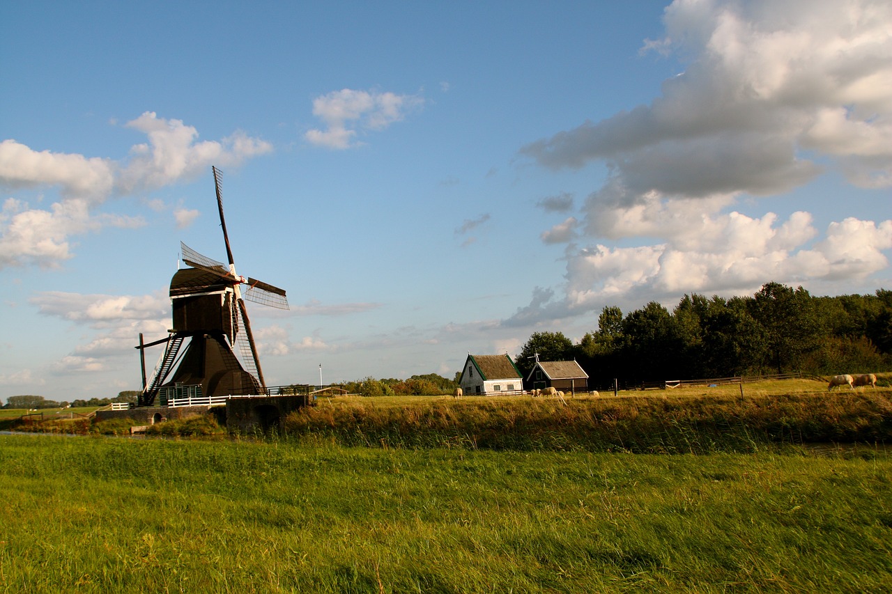 蕪湖古城改造最新動(dòng)態(tài)，重塑歷史風(fēng)貌，煥發(fā)新城活力