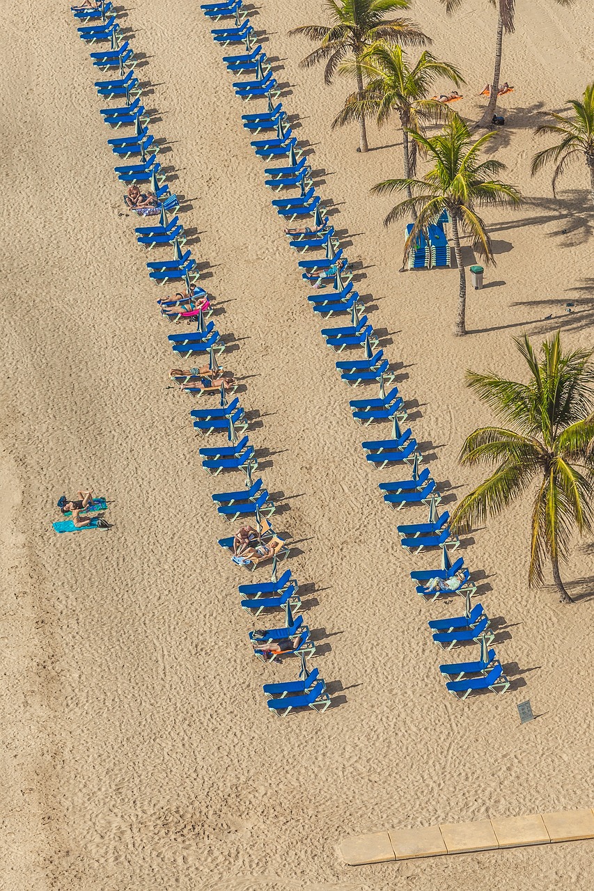 愛口袋最新版下載探索，最新體驗(yàn)之旅