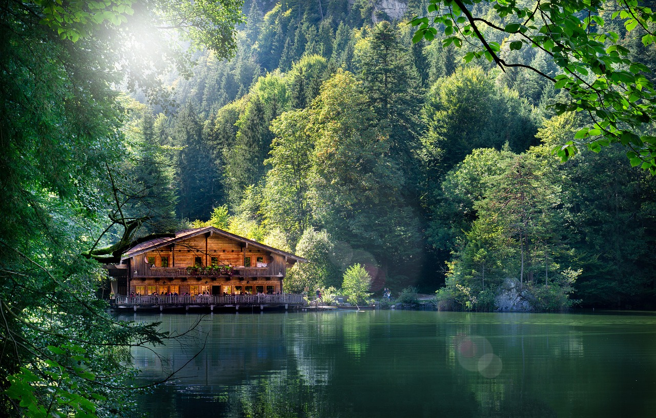 灌云五農(nóng)景苑最新動態(tài)揭秘，最新進展與資訊更新