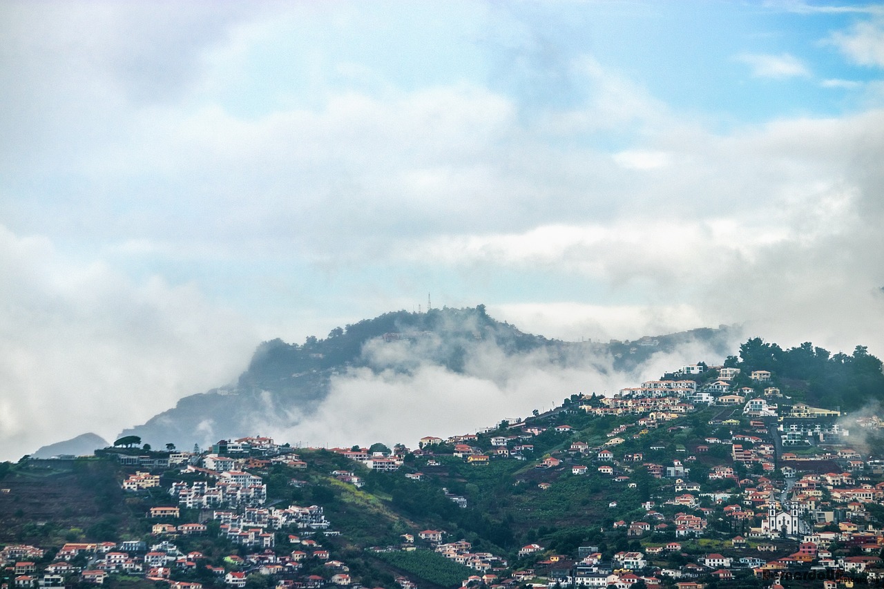 濟(jì)南新聞網(wǎng)最新新聞，城市動(dòng)態(tài)與經(jīng)濟(jì)脈搏的交融報(bào)道