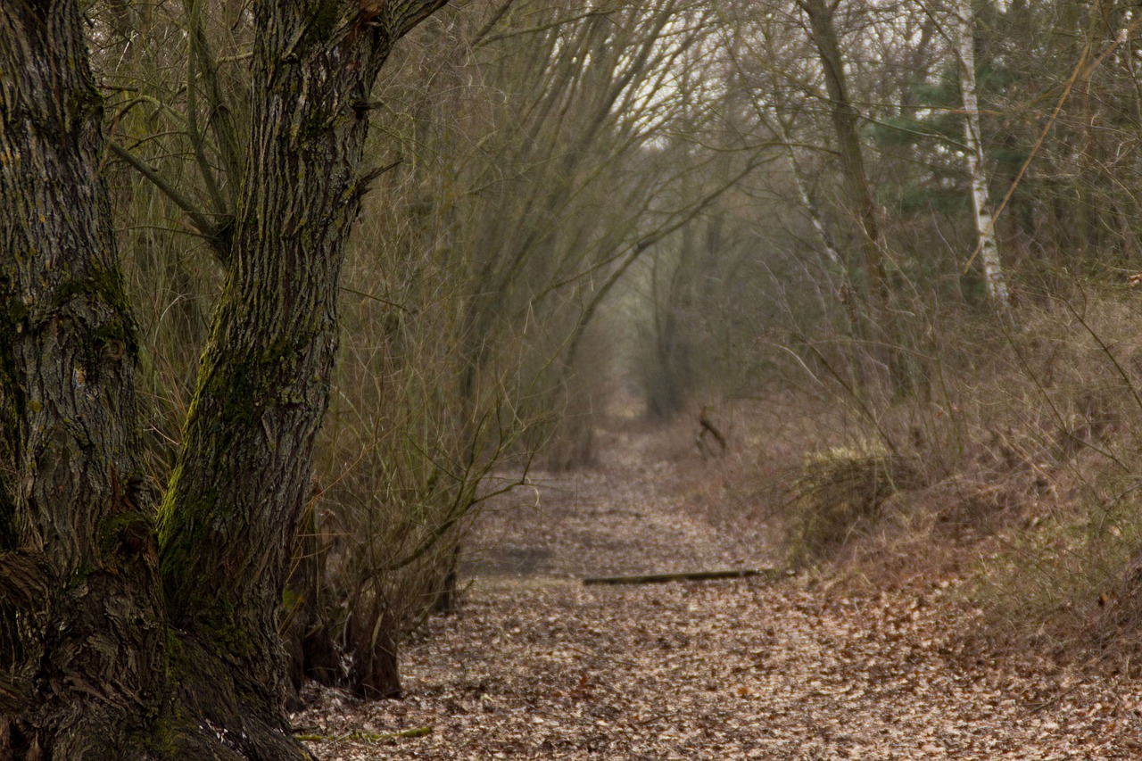 山海四季城最新價(jià)格動態(tài)與市場深度分析