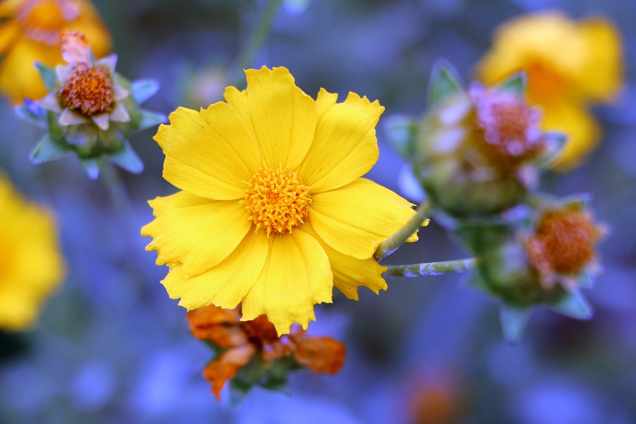 范冰冰最新動(dòng)態(tài)，閃耀全球的巨星風(fēng)采依舊