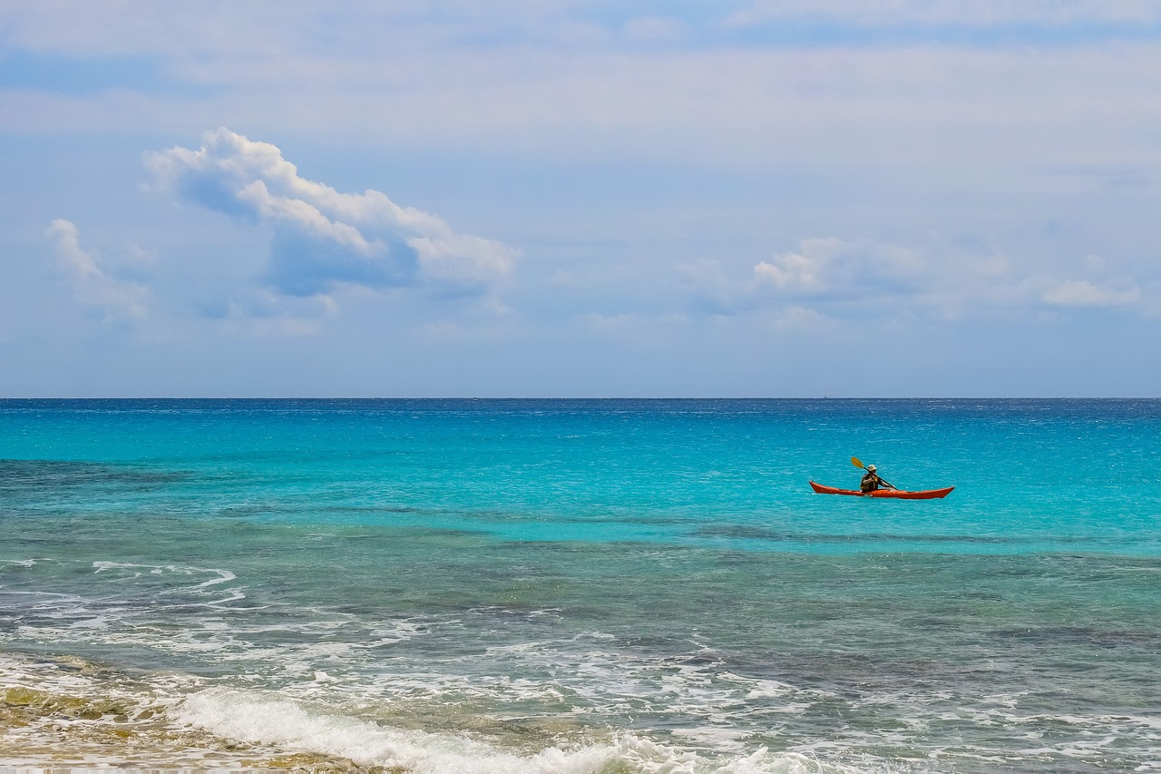 光緒元寶銅幣最新動(dòng)態(tài)，收藏市場(chǎng)的新焦點(diǎn)揭秘