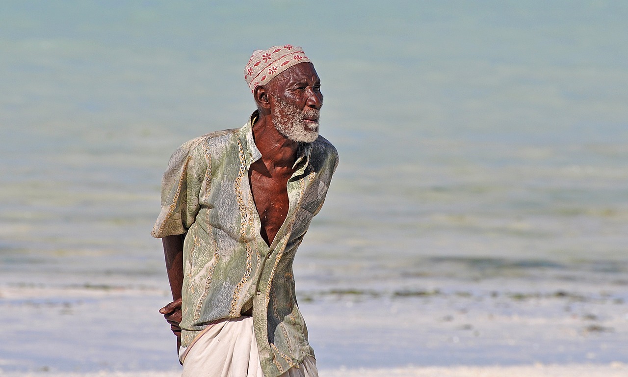中華孝道園最新消息,中華孝道園最新動態(tài)，傳承與創(chuàng)新的融合