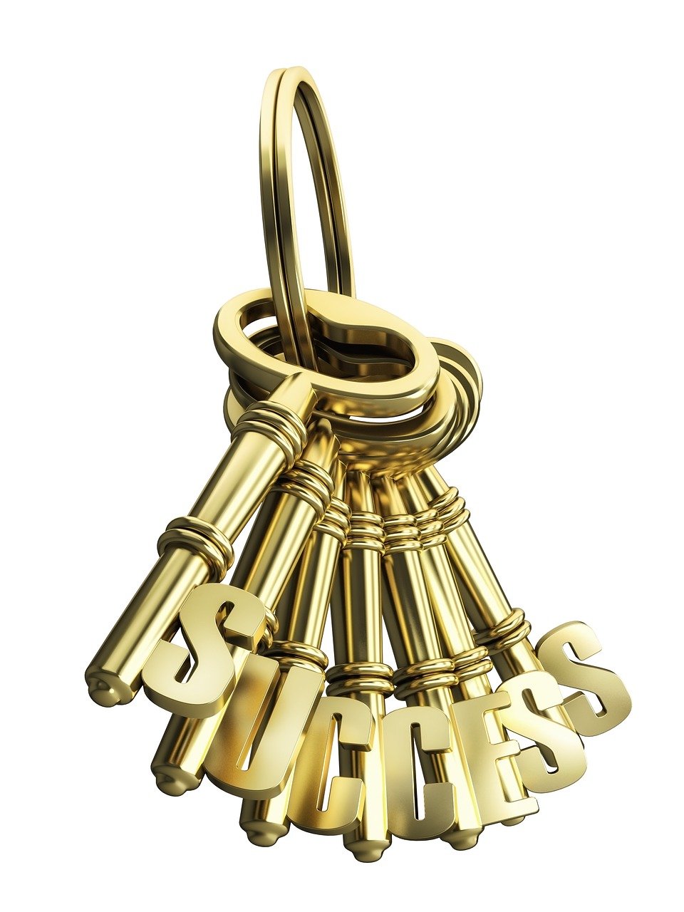 機場物流招聘最新動態(tài)，高效物流新時代的機遇與挑戰(zhàn)揭秘