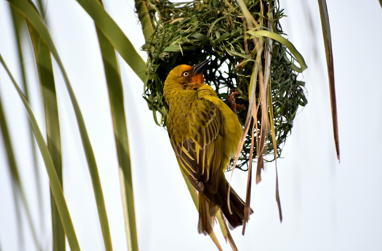 東莞建暉紙業(yè)最新招聘動(dòng)態(tài)及職業(yè)發(fā)展探討，招聘信息與職業(yè)發(fā)展機(jī)會(huì)一覽