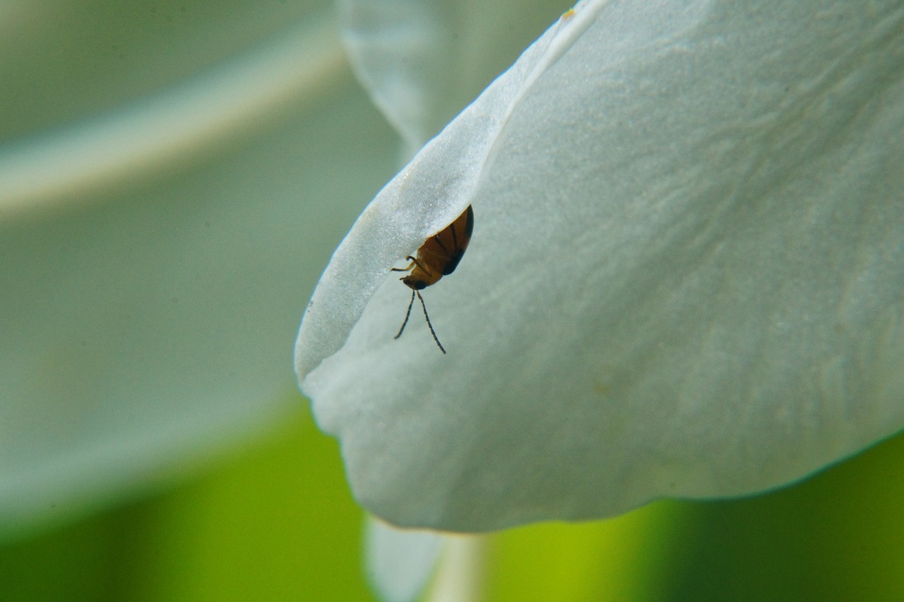 余江新聞最新消息深度報(bào)道，聚焦余江發(fā)展動(dòng)態(tài) 2017年年度報(bào)告