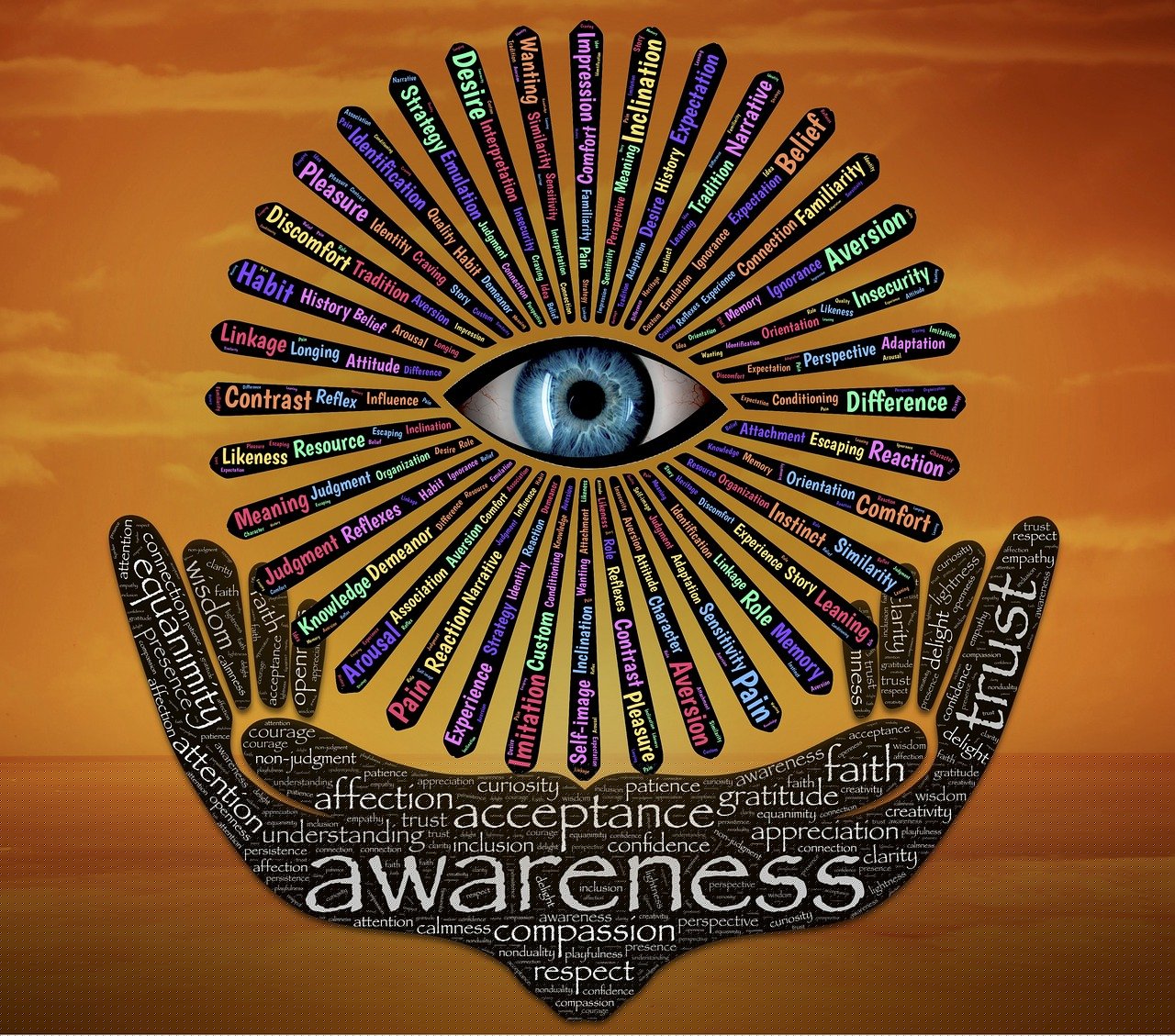 權(quán)力巔峰，官場探索與反思的啟示