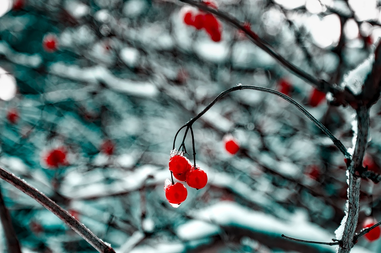 肖致遠續(xù)寫輝煌，一路青云最新進展報道