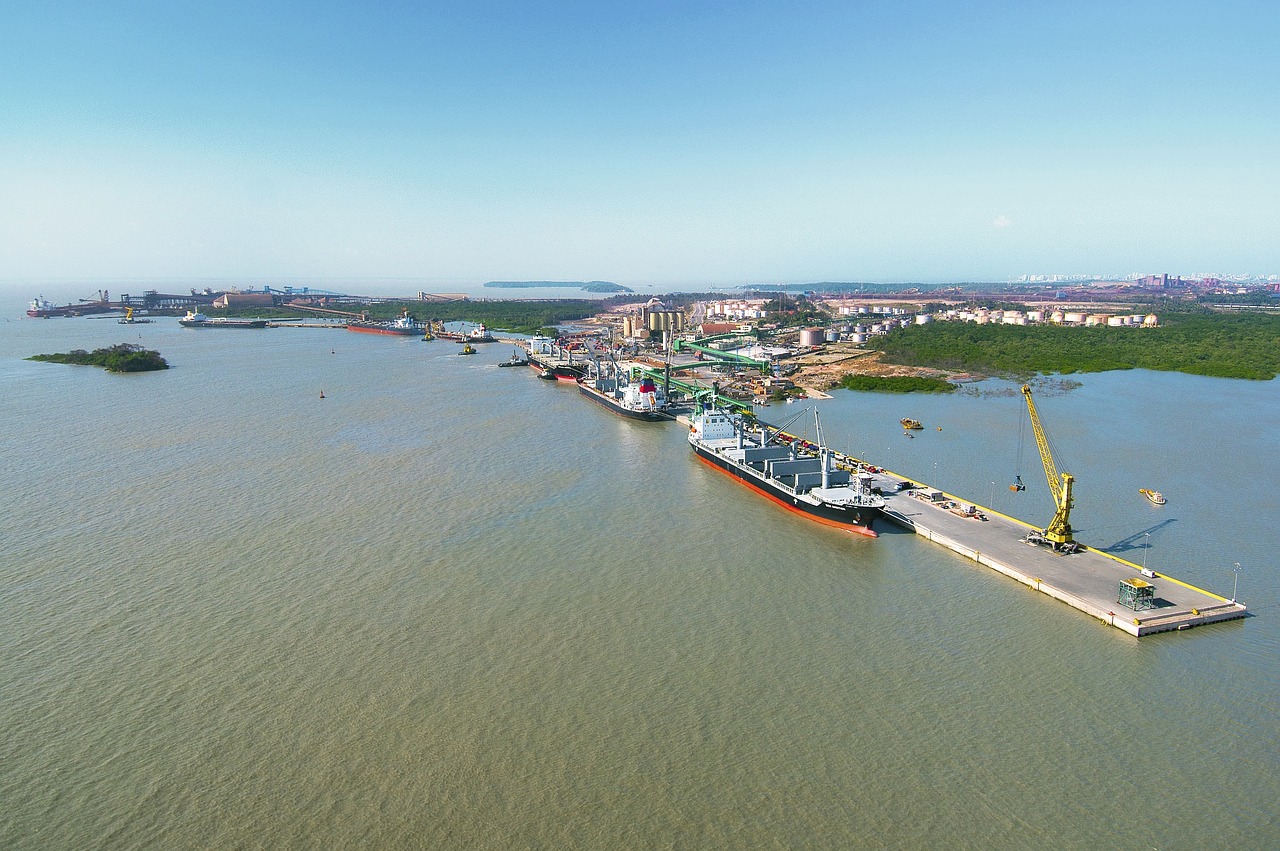 國(guó)產(chǎn)大豆收購(gòu)最新動(dòng)態(tài)，市場(chǎng)趨勢(shì)與產(chǎn)業(yè)動(dòng)態(tài)深度解析