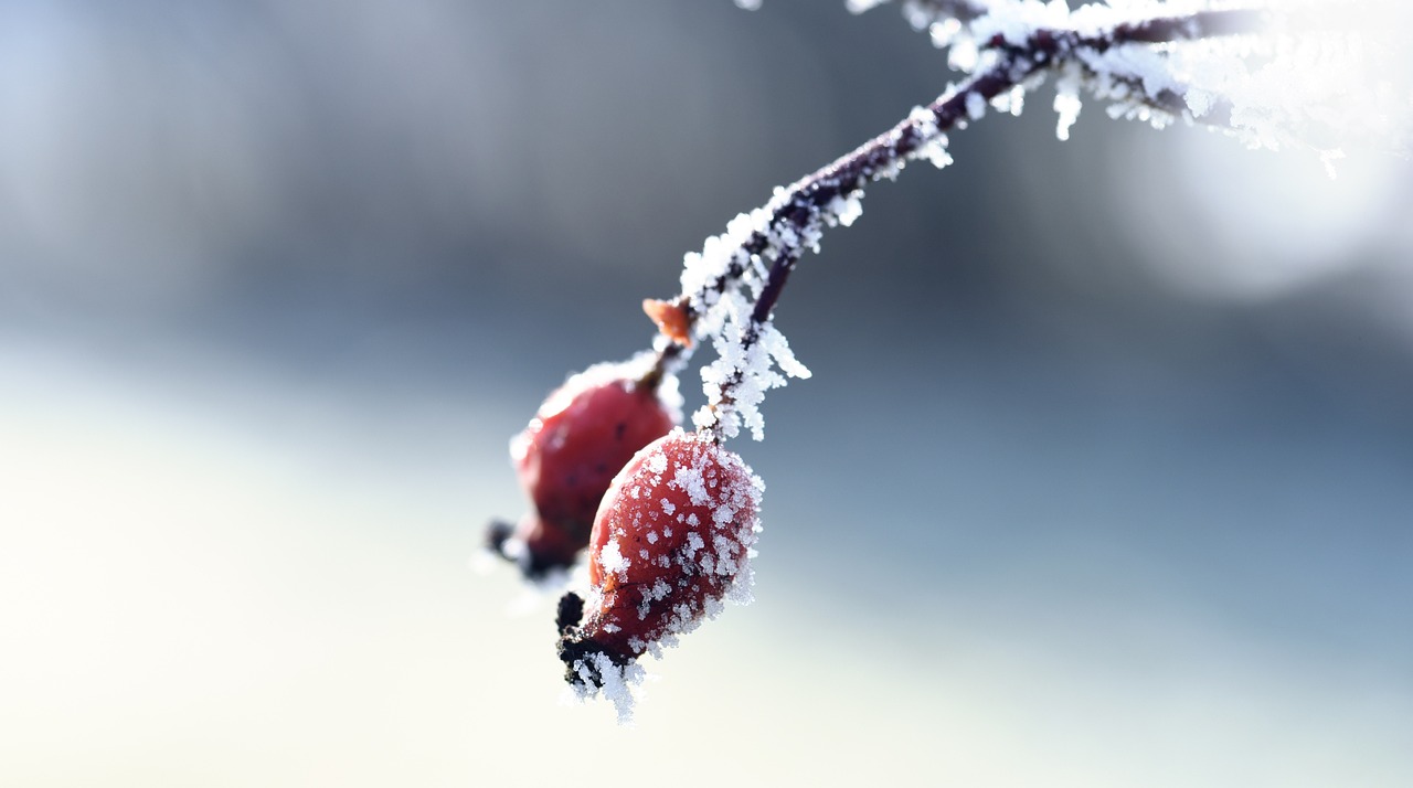 資興新房出售最新消息揭秘，最新房源動(dòng)態(tài)與優(yōu)惠信息一網(wǎng)打盡！