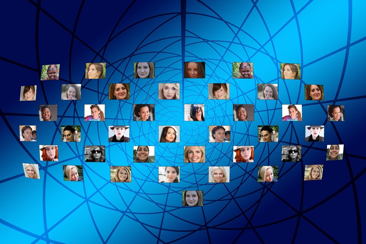 多寶魚市場最新動態(tài)與行業(yè)深度解析，發(fā)展趨勢與市場新聞速遞