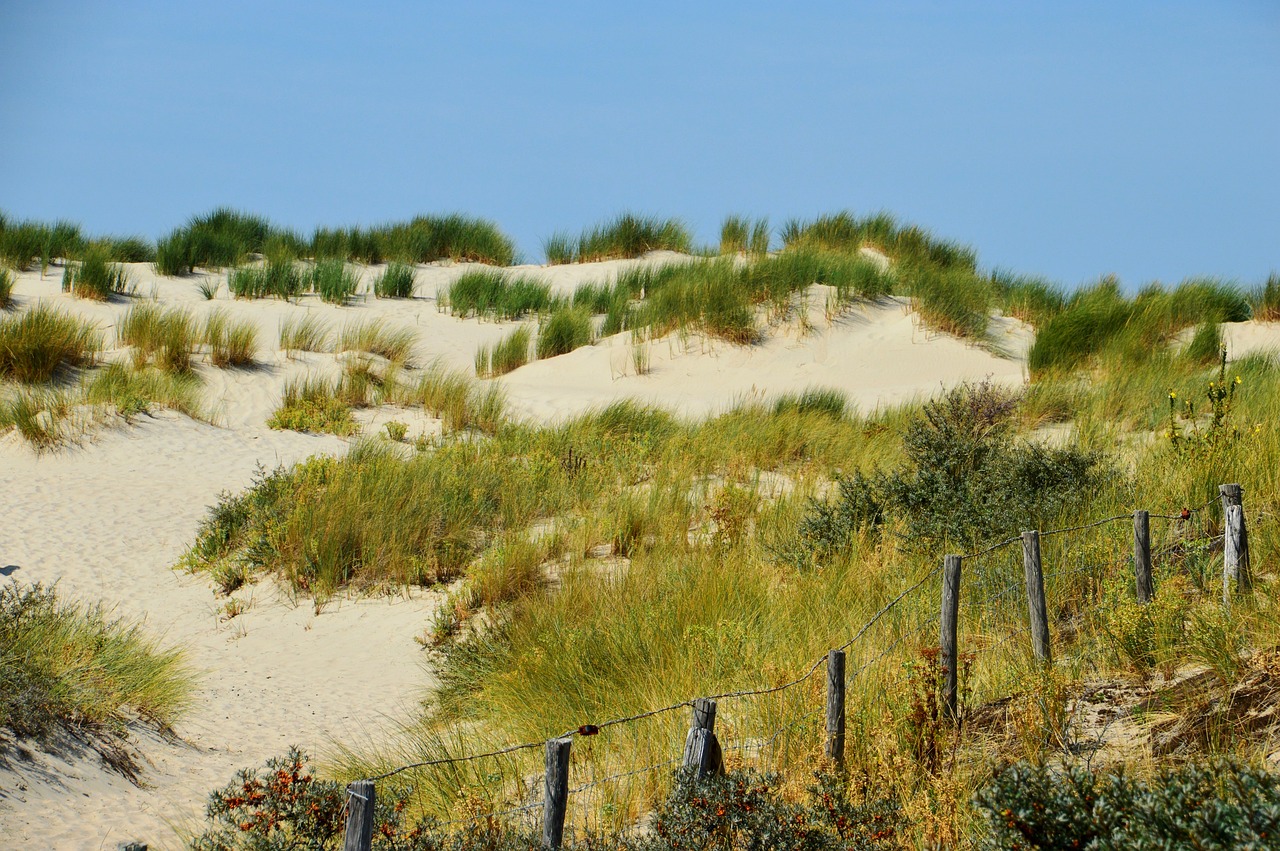 海啟高速如東最新消息概覽，最新動(dòng)態(tài)與進(jìn)展報(bào)告