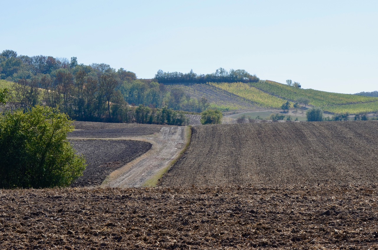 小藍(lán)工業(yè)園最新招聘動態(tài)，崗位空缺與產(chǎn)業(yè)影響力分析