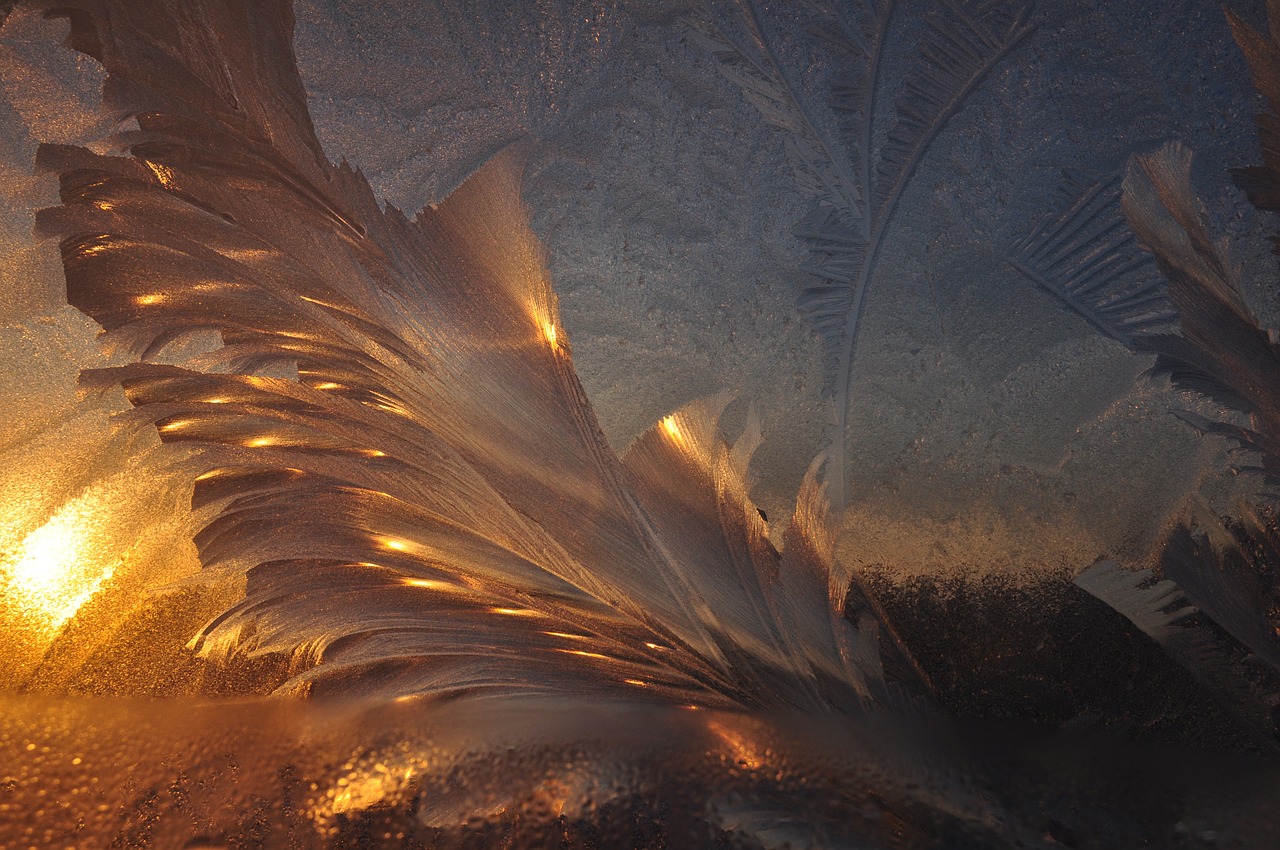 白夜寒與葉曉曉，命運(yùn)交織與情感升華的最新章節(jié)