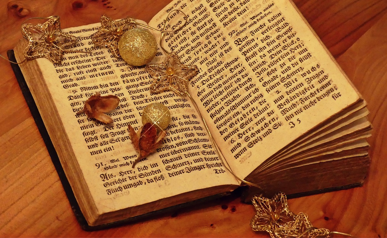 嫖文執(zhí)行者，探索與啟示的最新章節(jié)