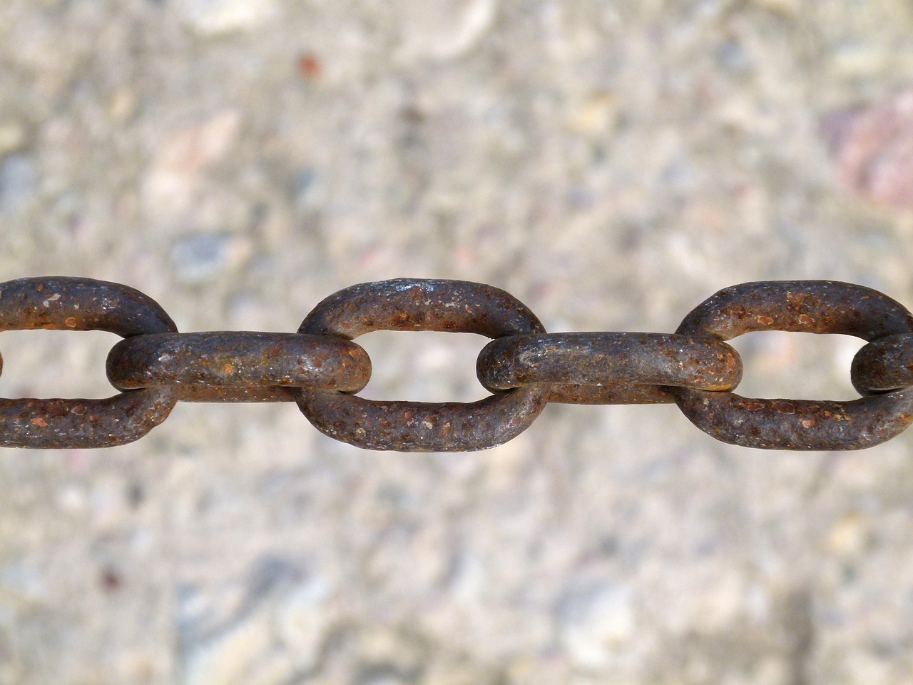 李仕軍在旺蒼的最新動態(tài)，推動地方發(fā)展，展現(xiàn)新面貌