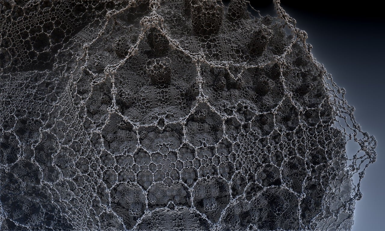 湛江李昌梧最新動態(tài)，傳奇人物的嶄新篇章