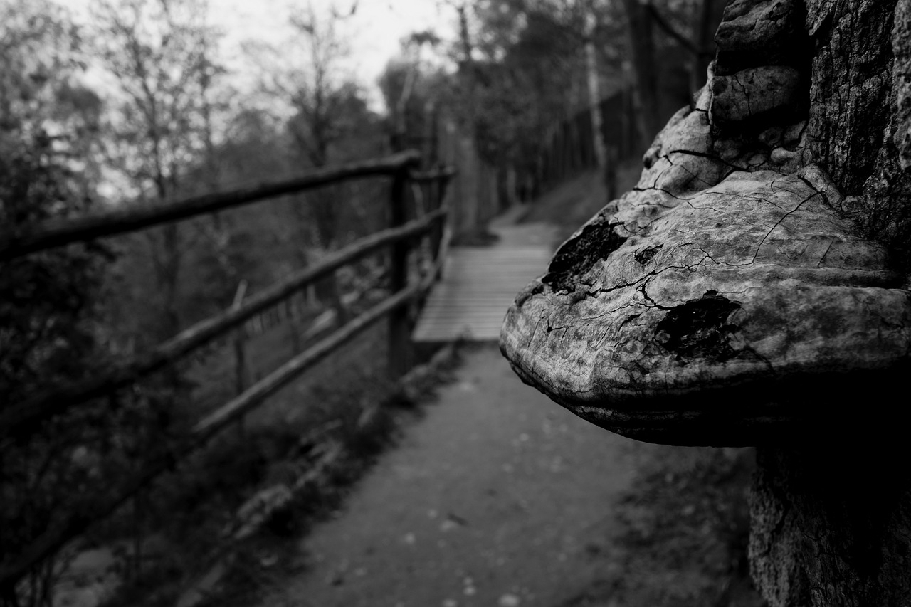 九江瞰江郡最新動態(tài)更新，九江瞰江郡最新狀況速遞