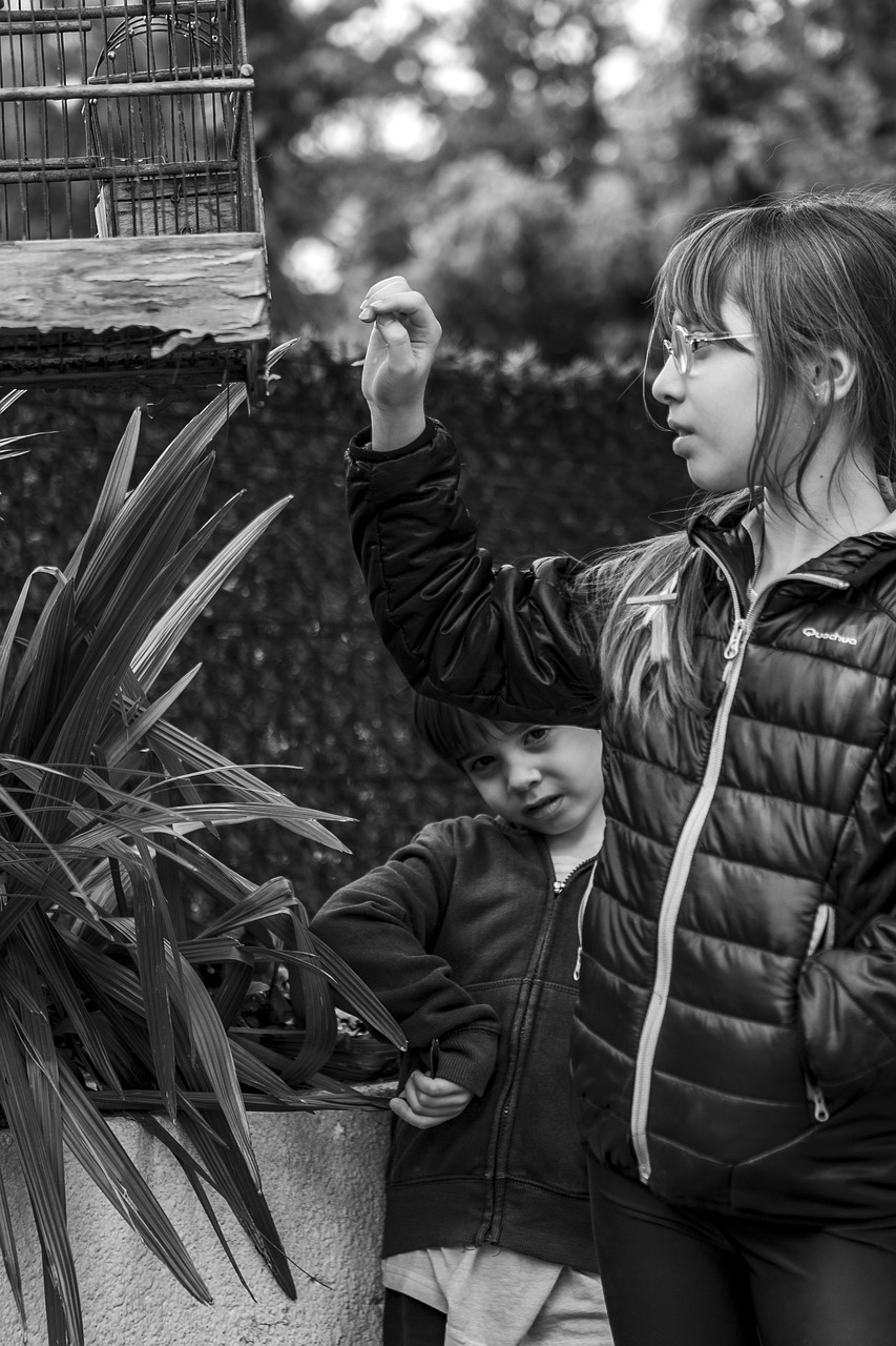 自然與科技融合的未來探索，自然界云棲最新動態(tài)揭秘