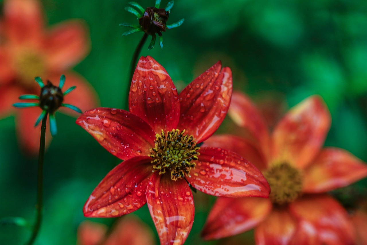 懷來(lái)萬(wàn)悅廣場(chǎng)，城市新地標(biāo)，引領(lǐng)未來(lái)生活風(fēng)尚新動(dòng)態(tài)