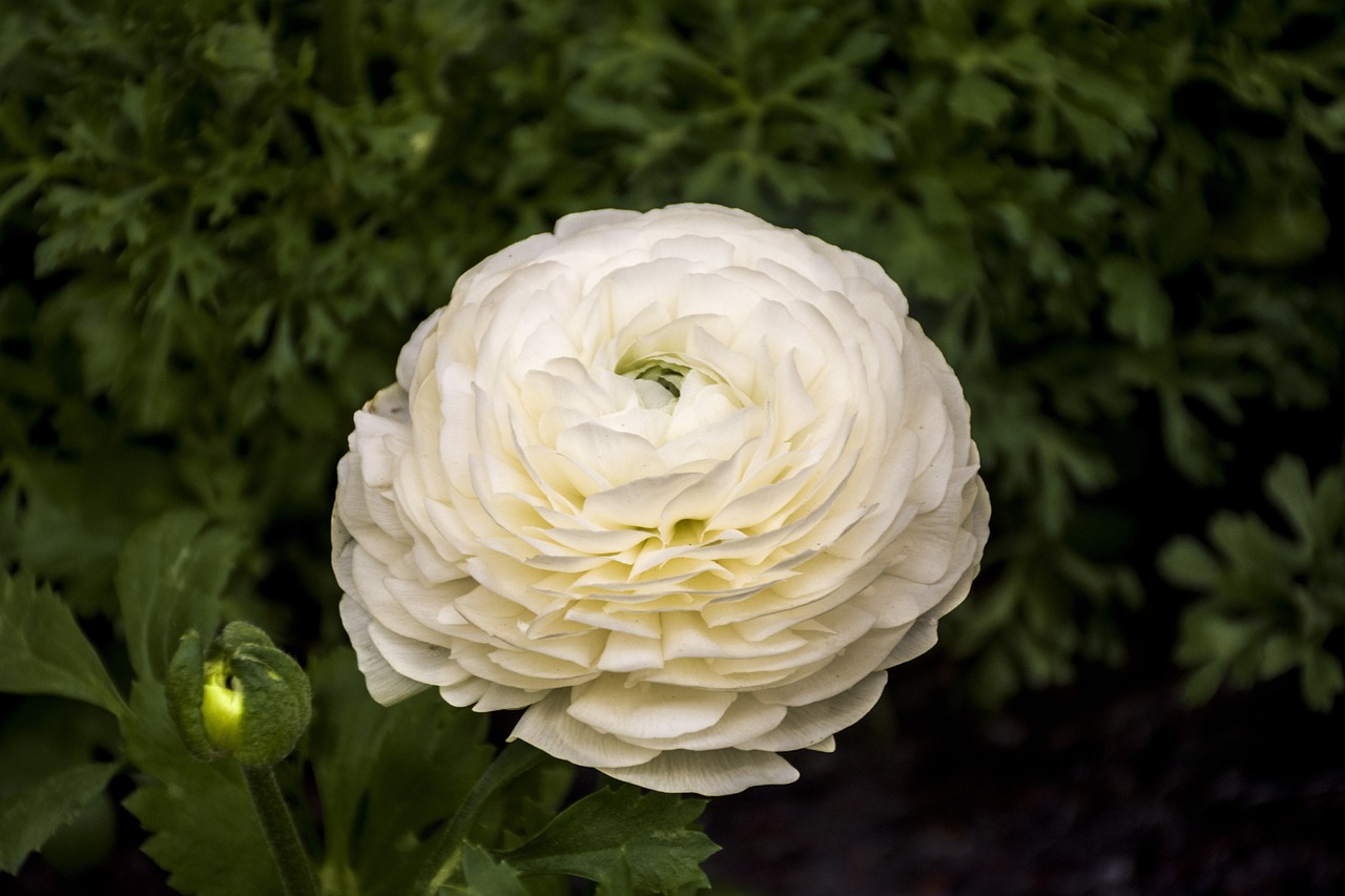 無錫玉蘭花園最新房?jī)r(jià)動(dòng)態(tài)分析與趨勢(shì)預(yù)測(cè)