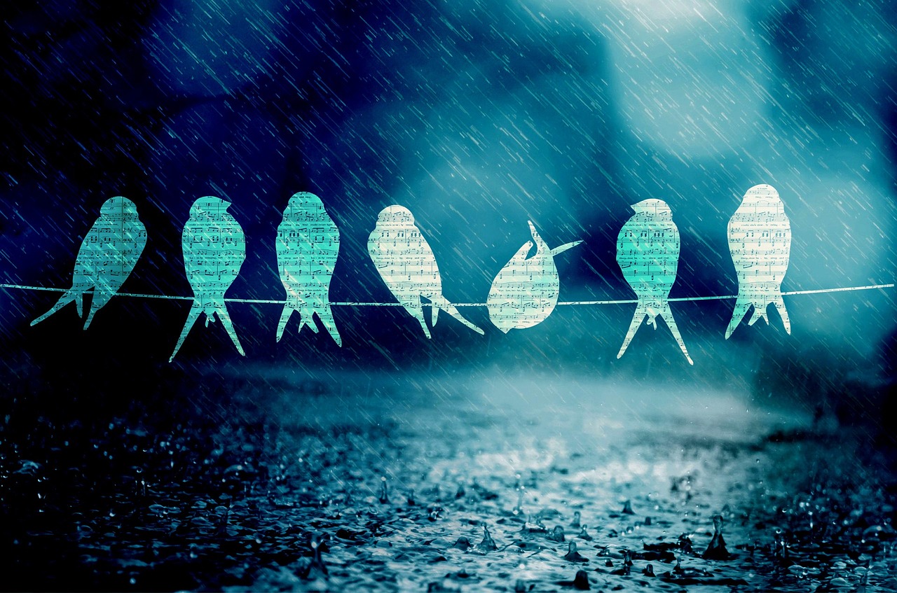 舟山自貿(mào)區(qū)蓬勃發(fā)展，海洋經(jīng)濟(jì)新引擎揭秘最新動(dòng)態(tài)