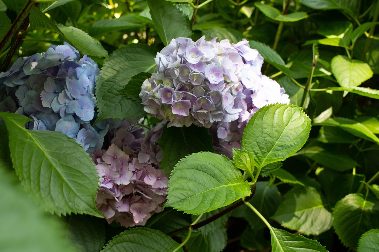 魯豐環(huán)保邁向綠色未來的堅(jiān)定步伐（最新動態(tài)更新）